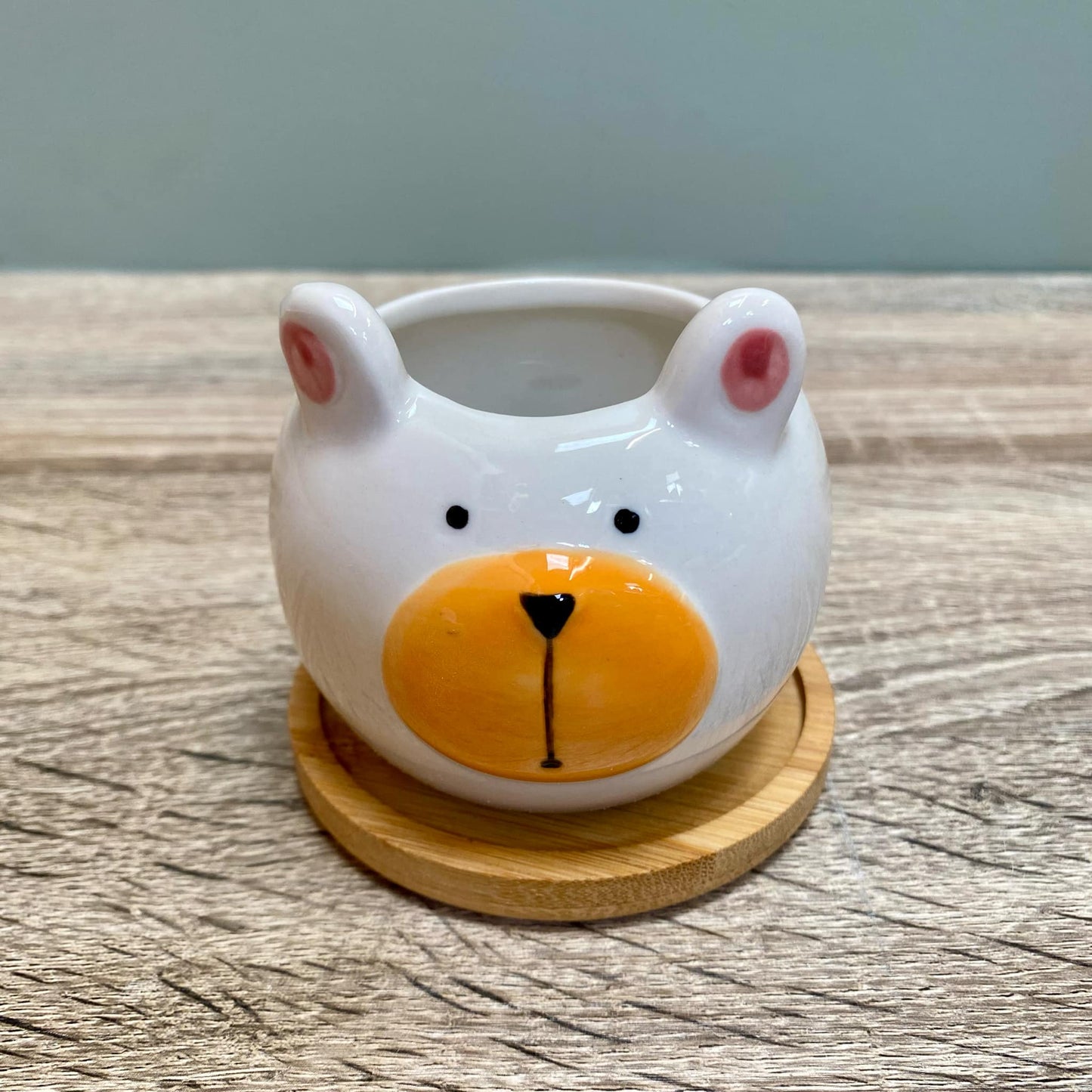 Round Animal Succulent Planters