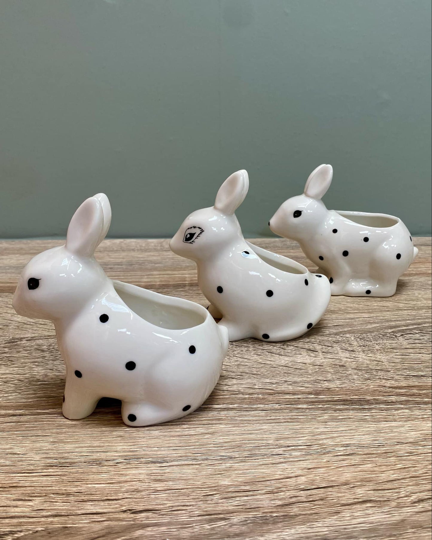 White Rabbit Succulent Plant Pots