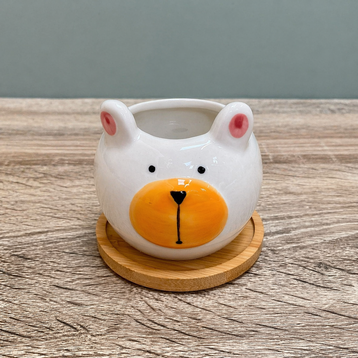 Round Animal Succulent Planters