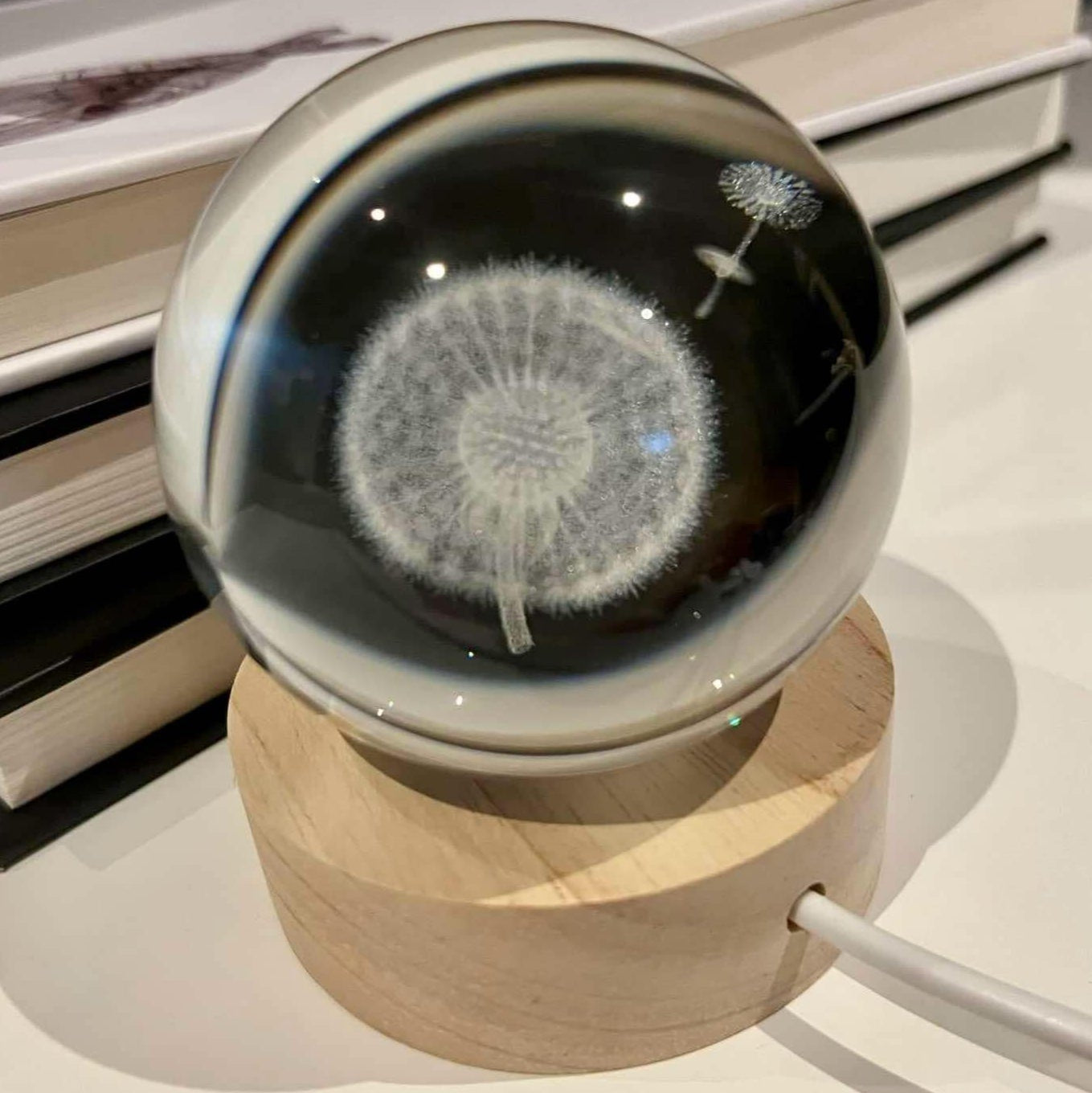 3D Light Up Dandelion Crystal Ball