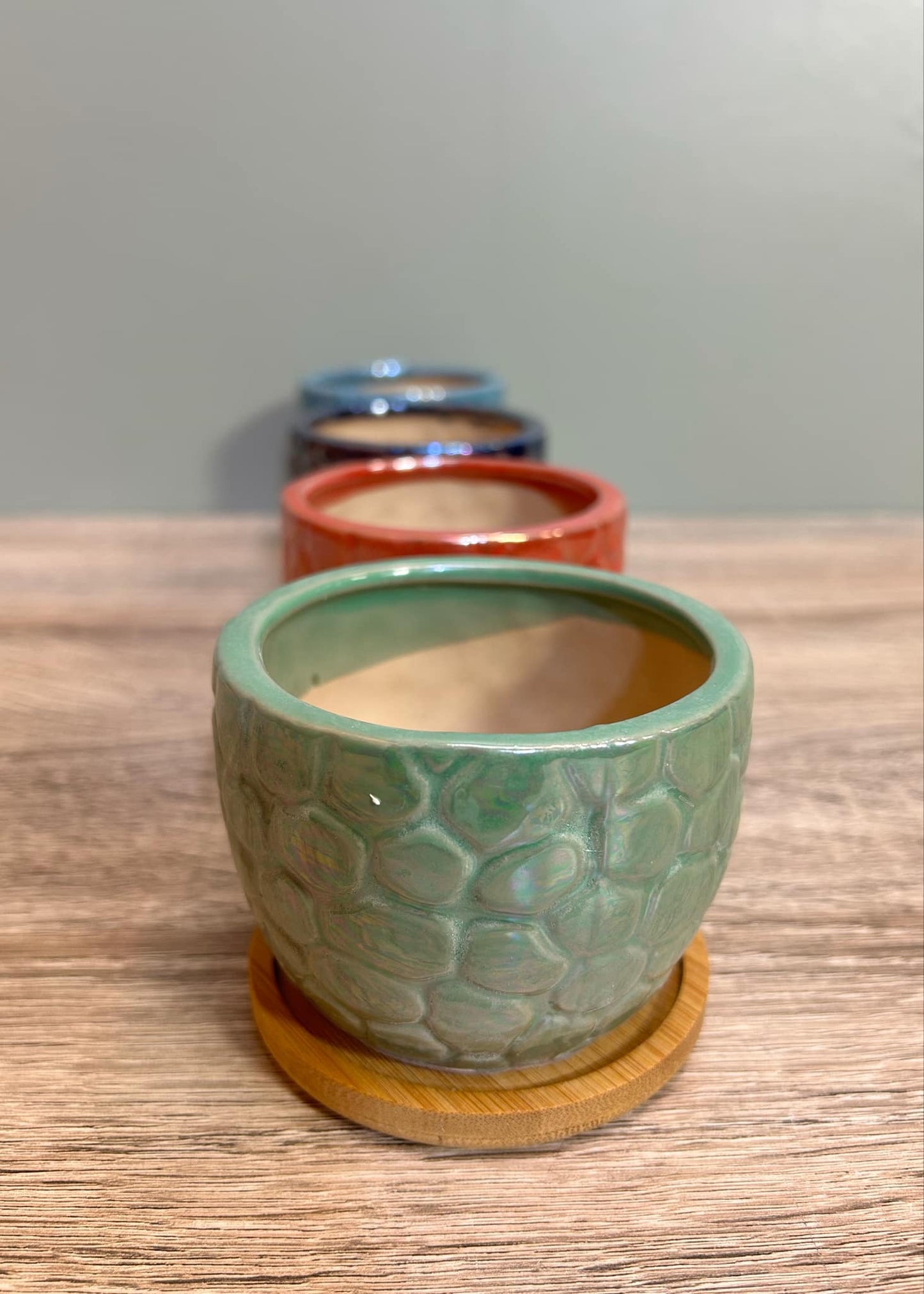 Ceramic Gloss Succulent Planters