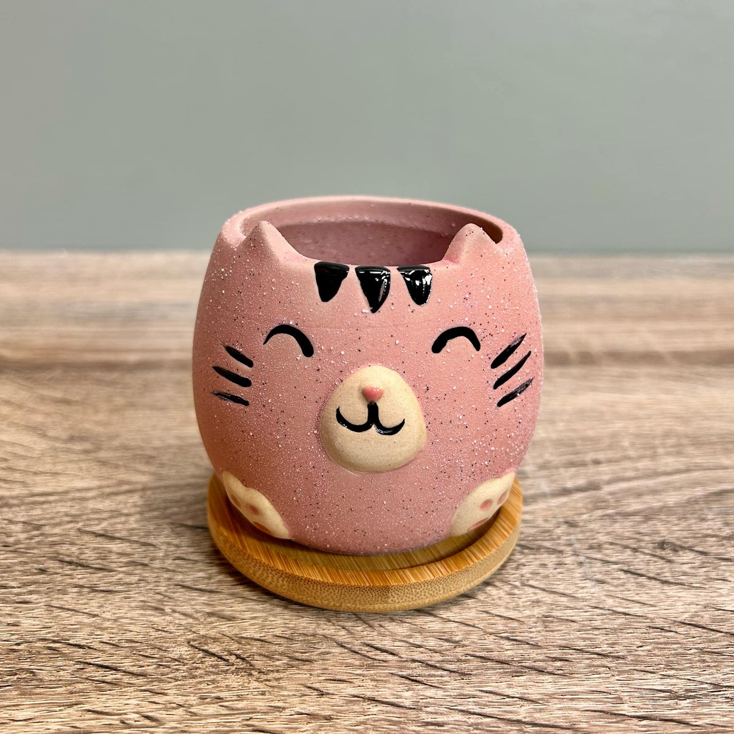 Cute Cat Animal Succulent Plant Pots