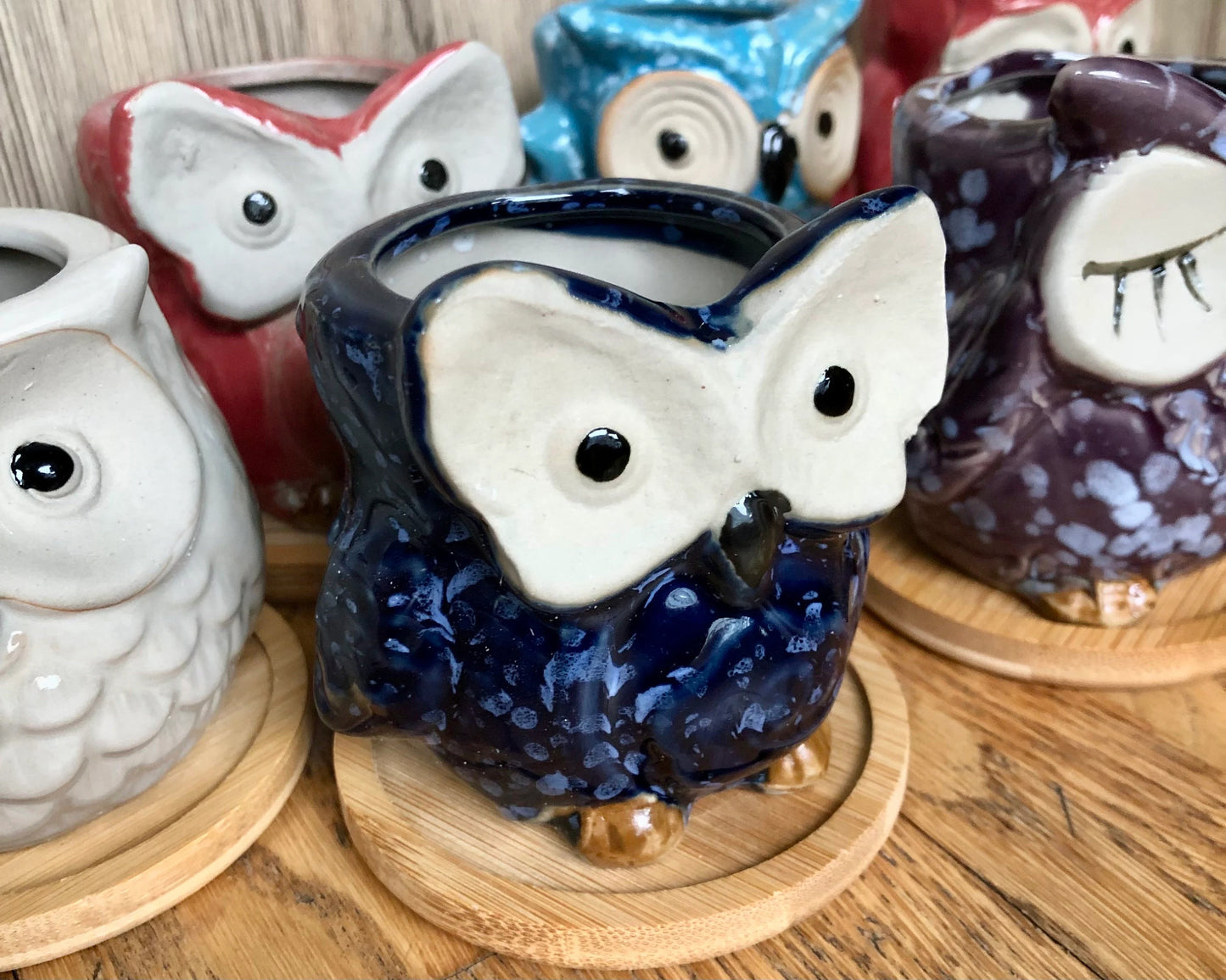 Owl Succulent Plant Pots