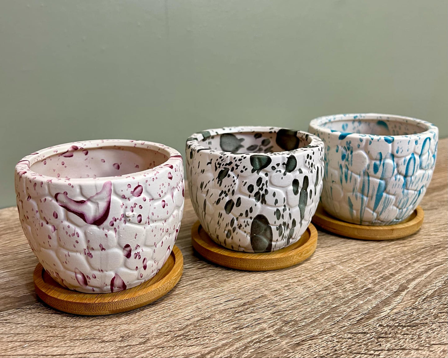 White Paint Splash Effect Succulent Planters
