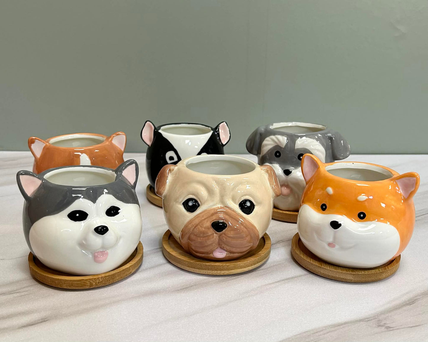 Dog Succulent Plant Pots