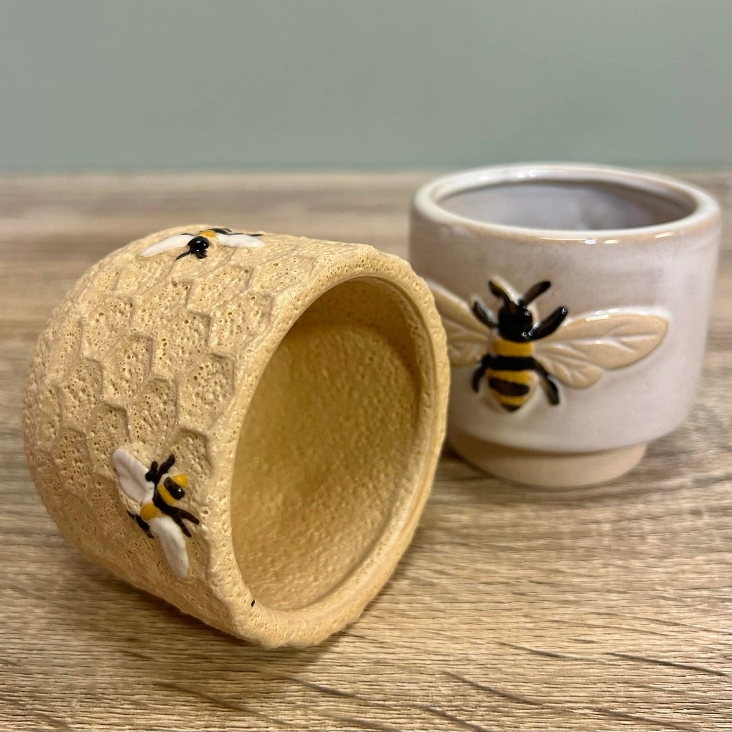 Bumblebee And Honeycomb Plant Pots