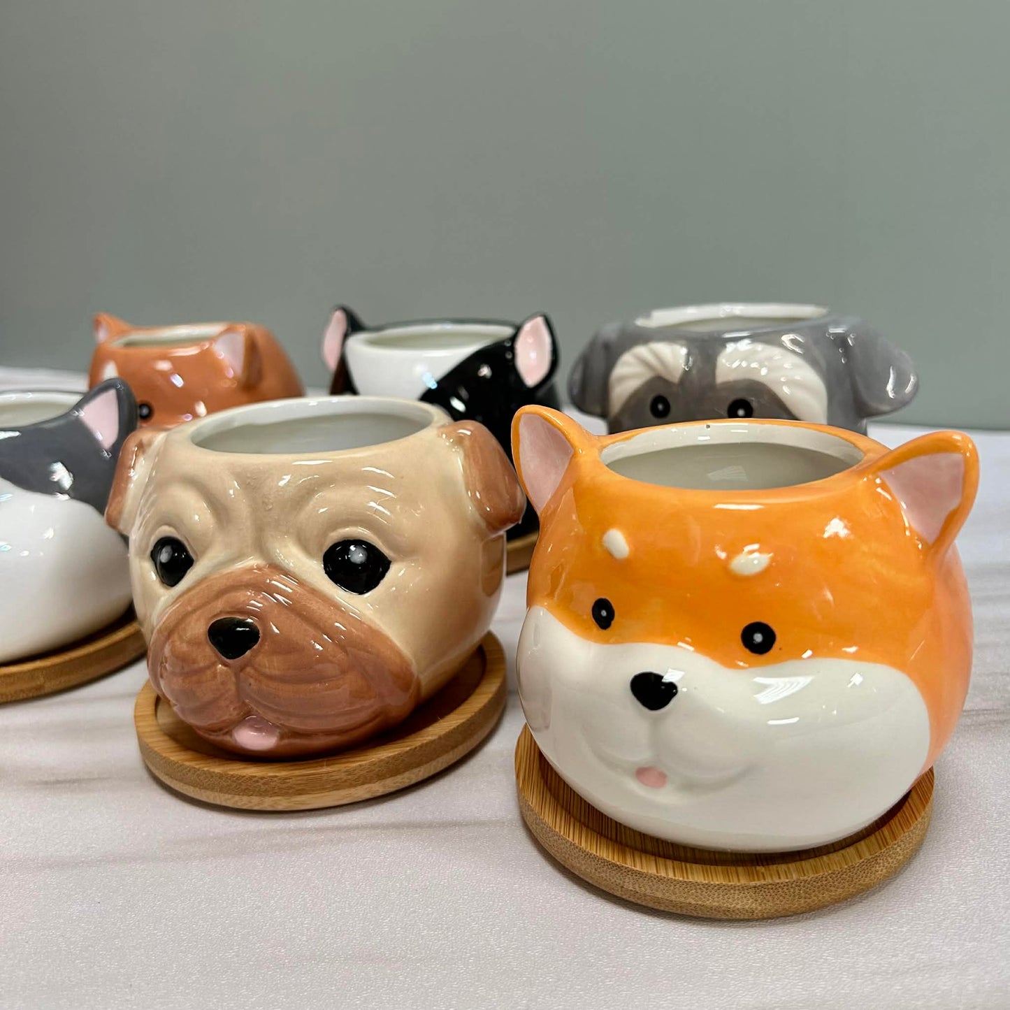 Dog Succulent Plant Pots