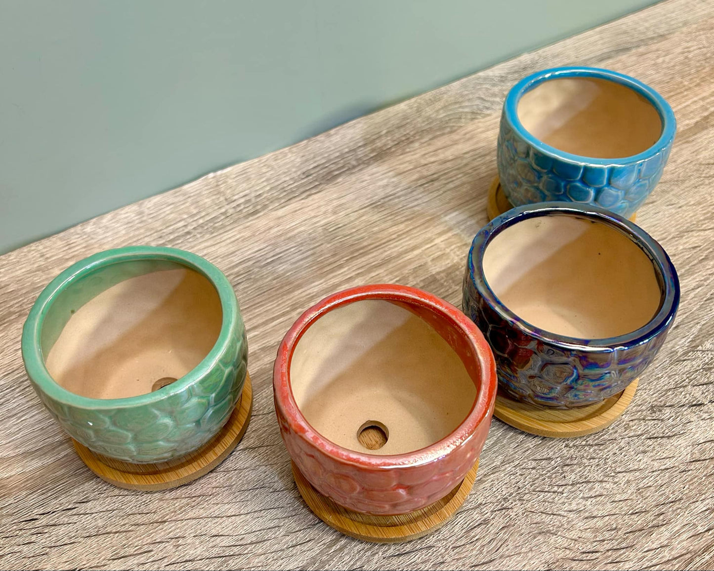 Ceramic Gloss Succulent Planters