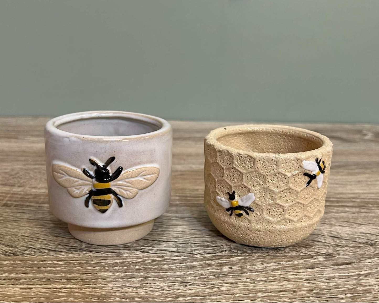 Bumblebee And Honeycomb Plant Pots