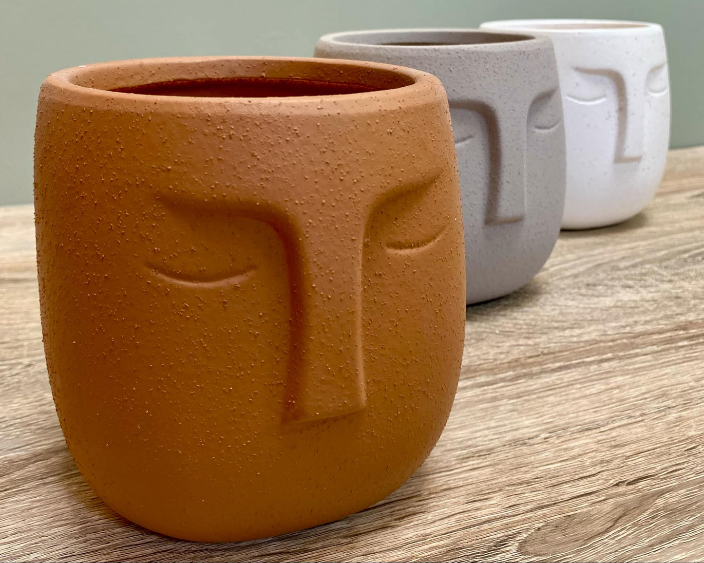 Nordic Human Face Plant Pots