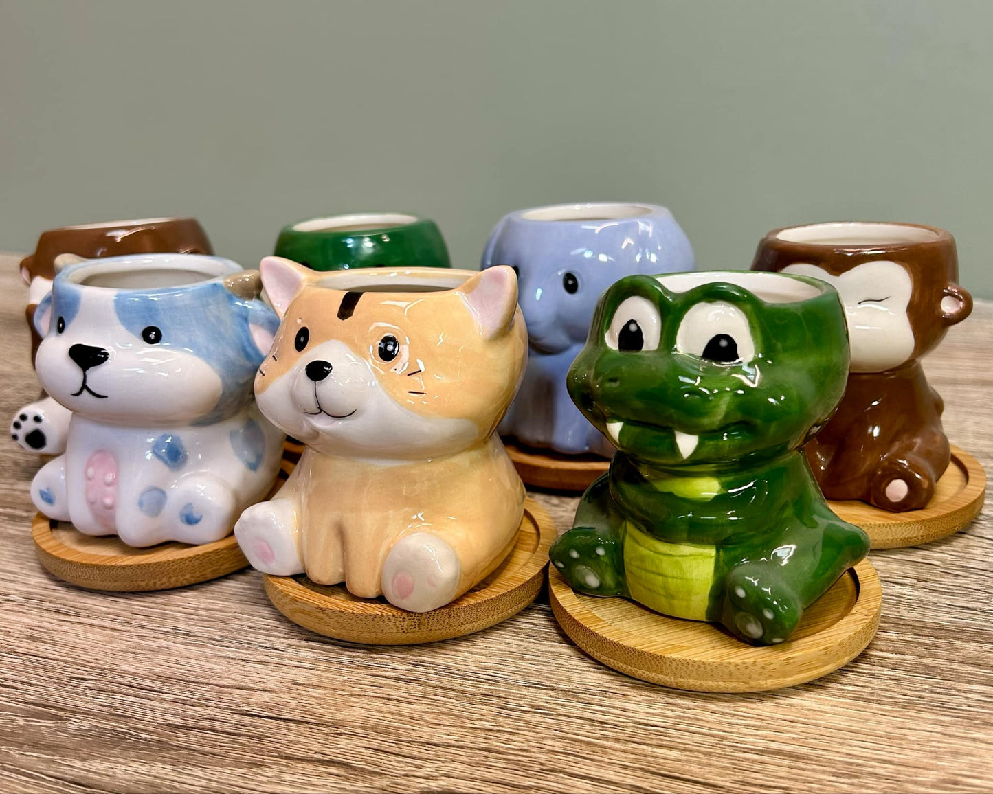 Animal Succulent Plant Pots Variations