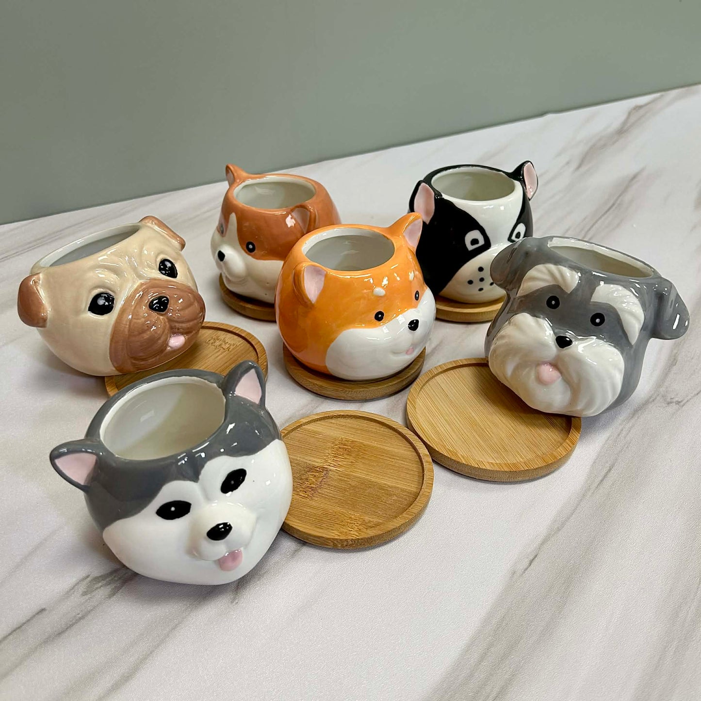Dog Succulent Plant Pots