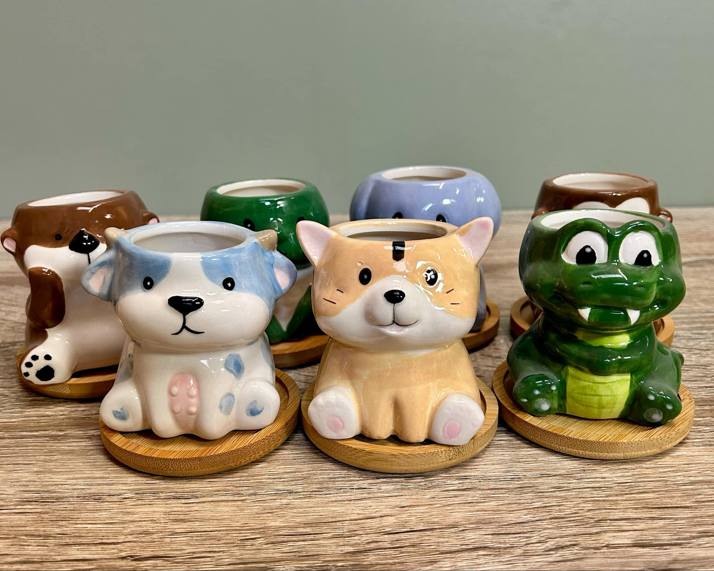 Animal Succulent Plant Pots Variations