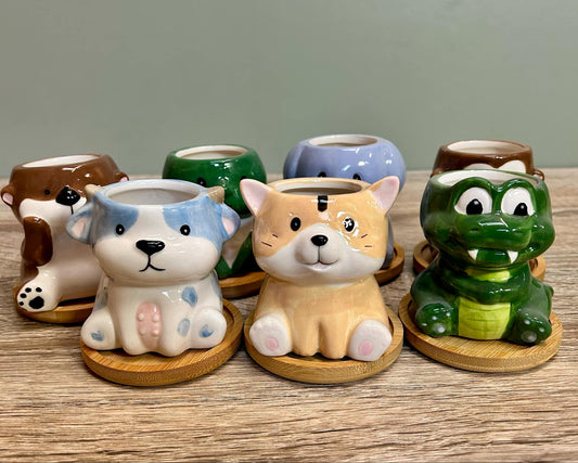 Animal Succulent Plant Pots Variations