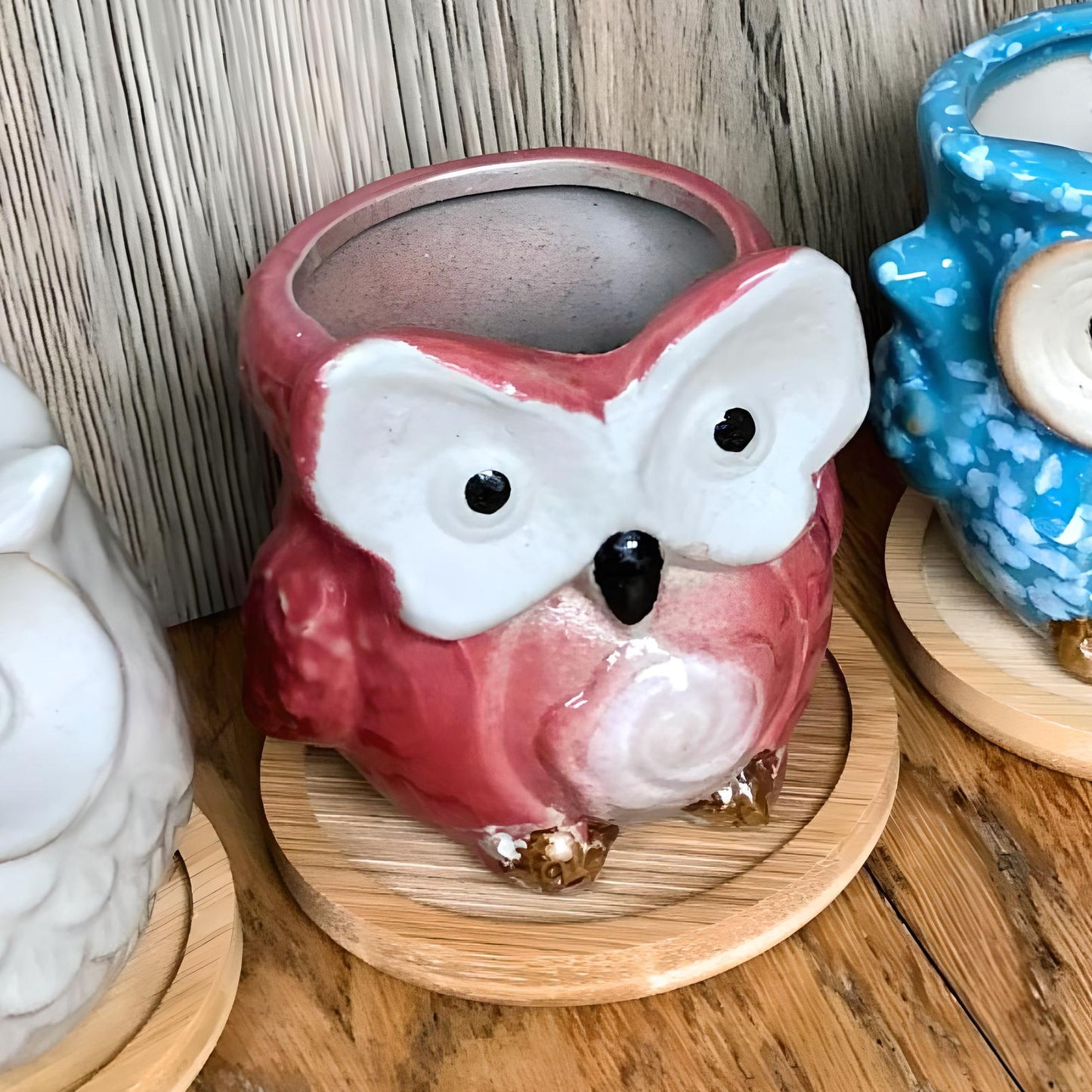 Owl Succulent Plant Pots