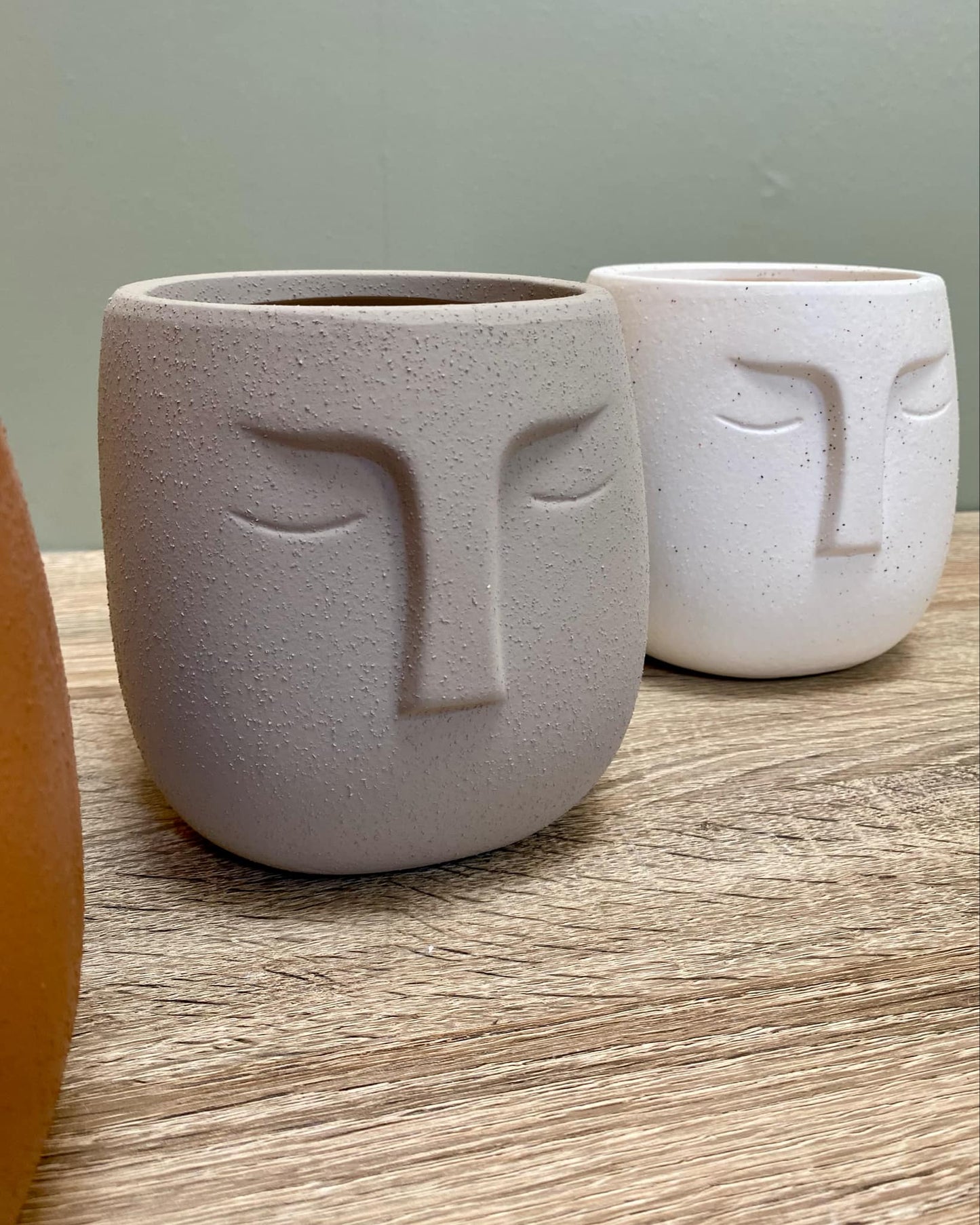 Nordic Human Face Plant Pots