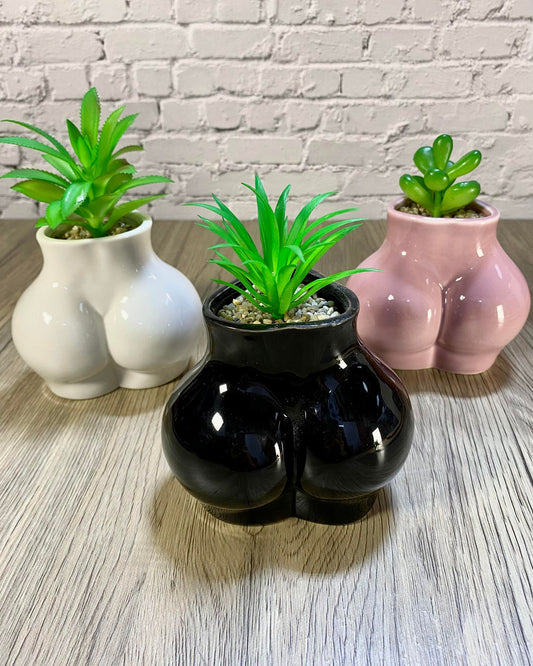 Ceramic Body Art Ass Succulent Planters / Small Desktop Plant Pot / Indoor Office Home Decor / Quirky Gift Idea