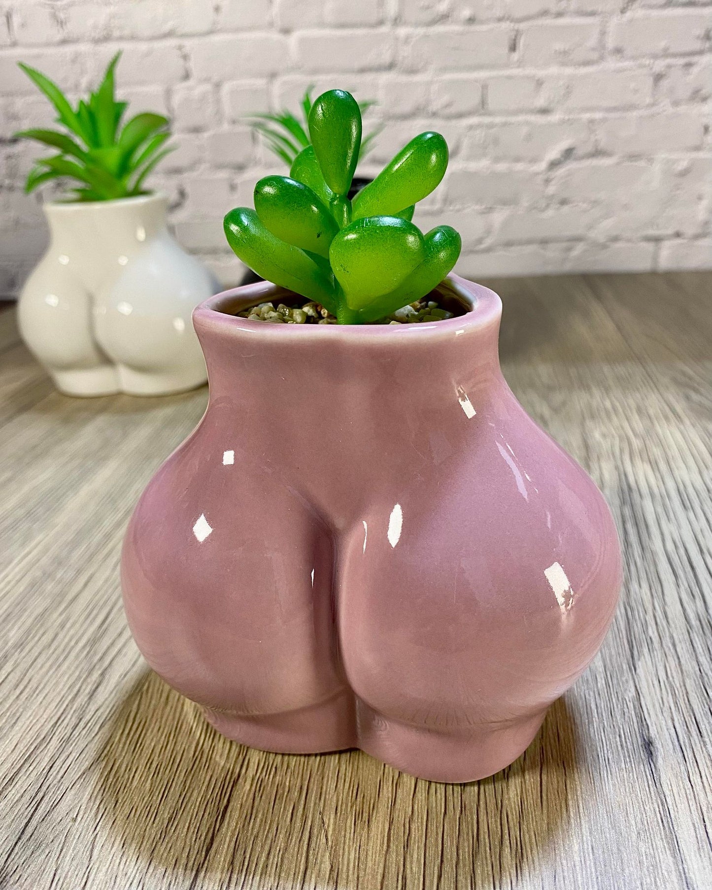 Ceramic Body Art Ass Succulent Planters / Small Desktop Plant Pot / Indoor Office Home Decor / Quirky Gift Idea