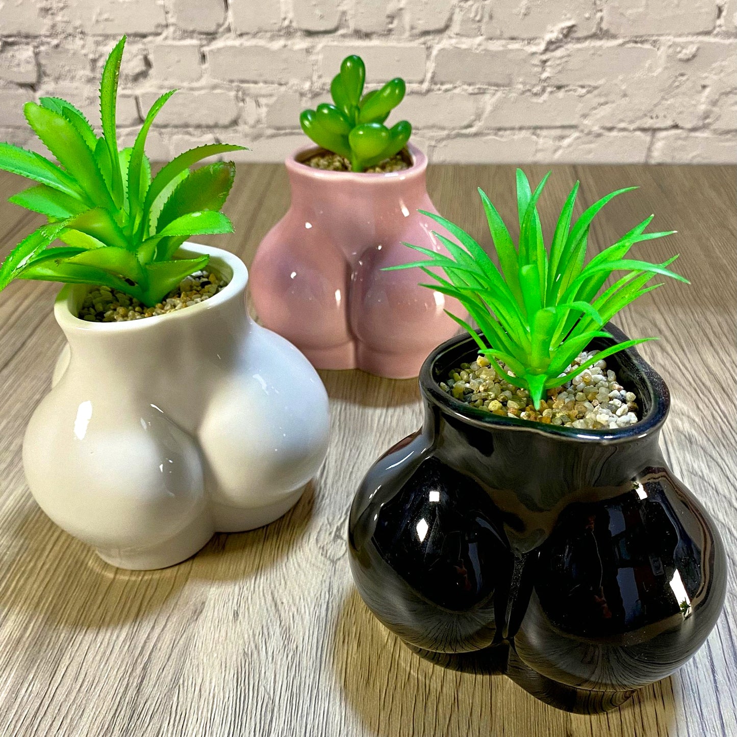 Ceramic Body Art Ass Succulent Planters / Small Desktop Plant Pot / Indoor Office Home Decor / Quirky Gift Idea