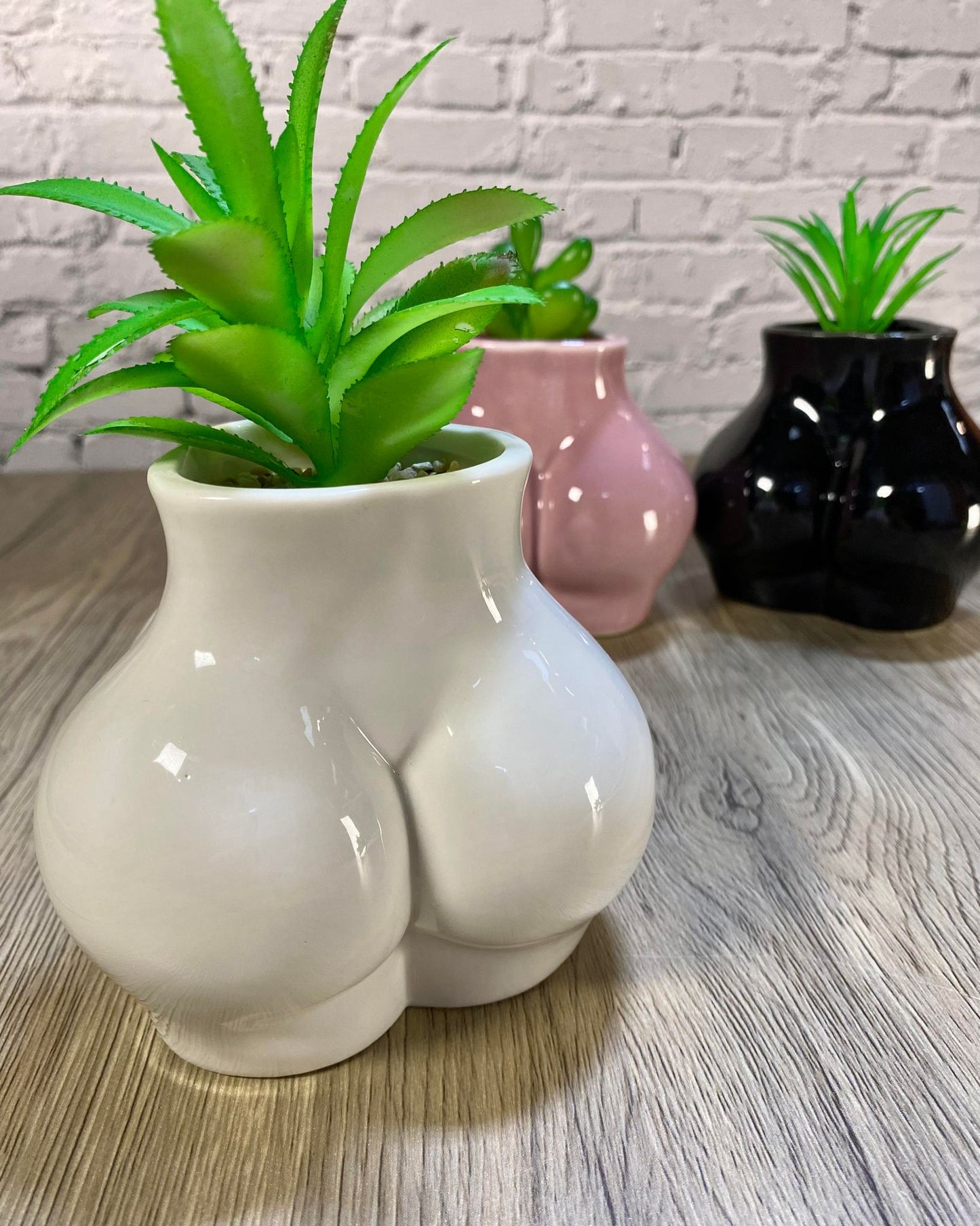 Ceramic Body Art Ass Succulent Planters / Small Desktop Plant Pot / Indoor Office Home Decor / Quirky Gift Idea