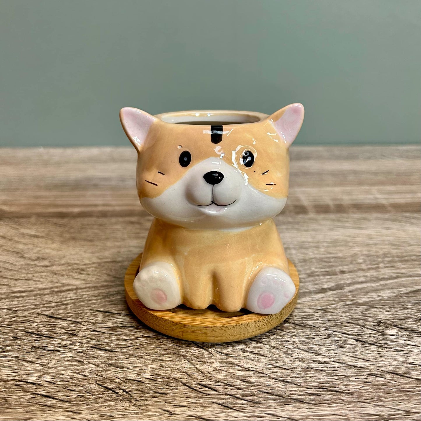 Animal Succulent Plant Pots Variations