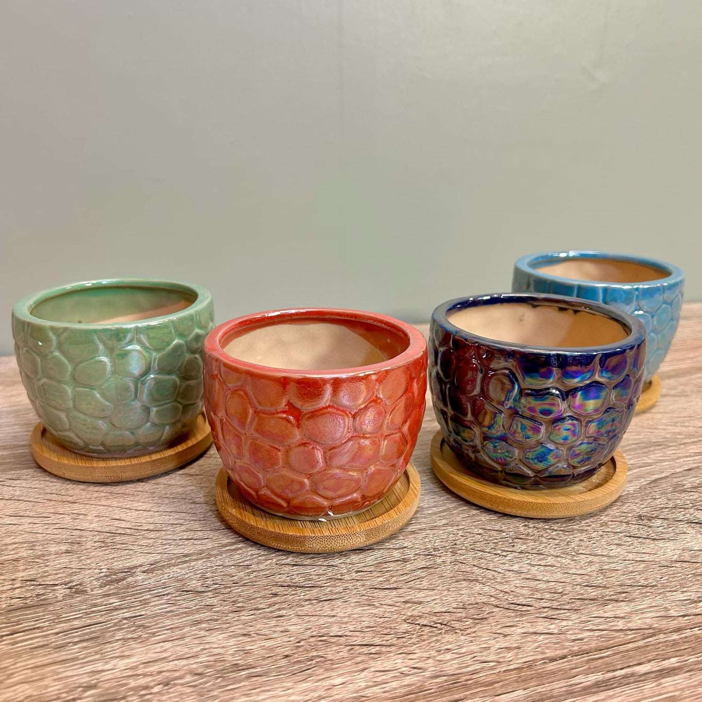 Ceramic Gloss Succulent Planters