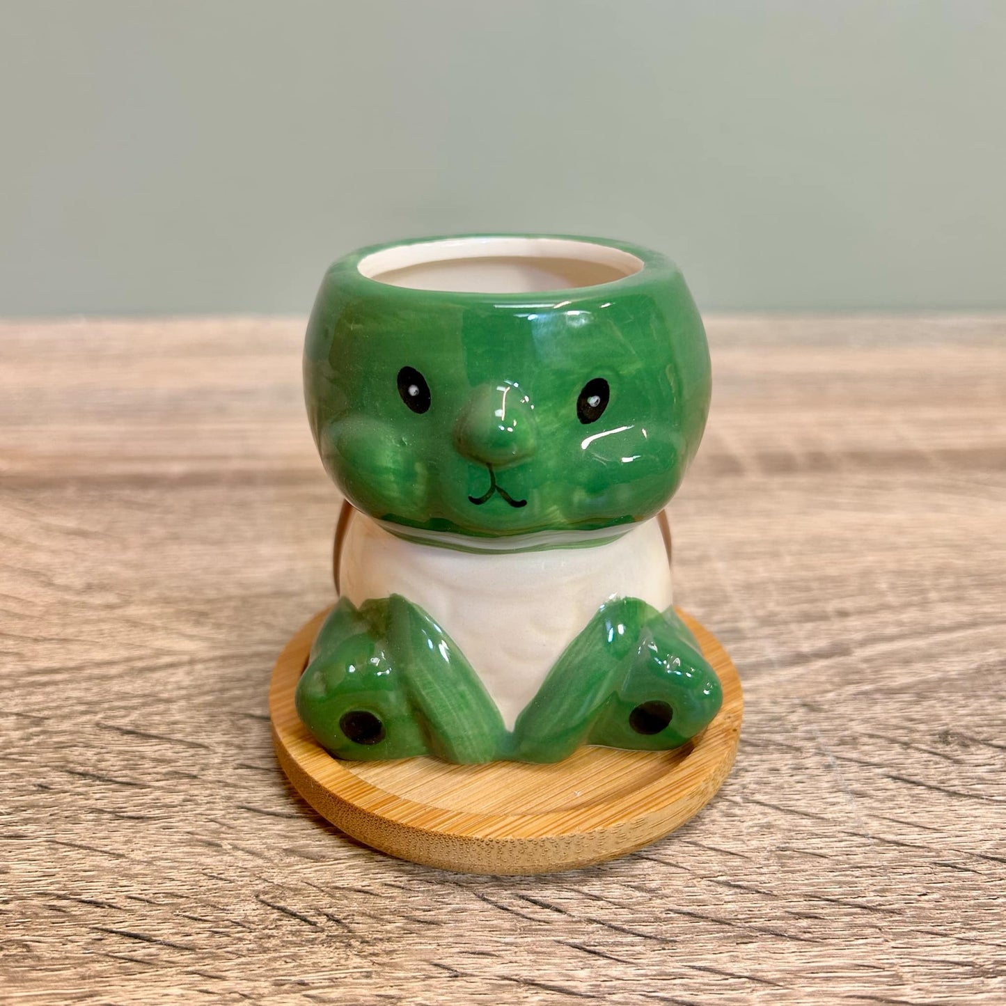 Animal Succulent Plant Pots Variations