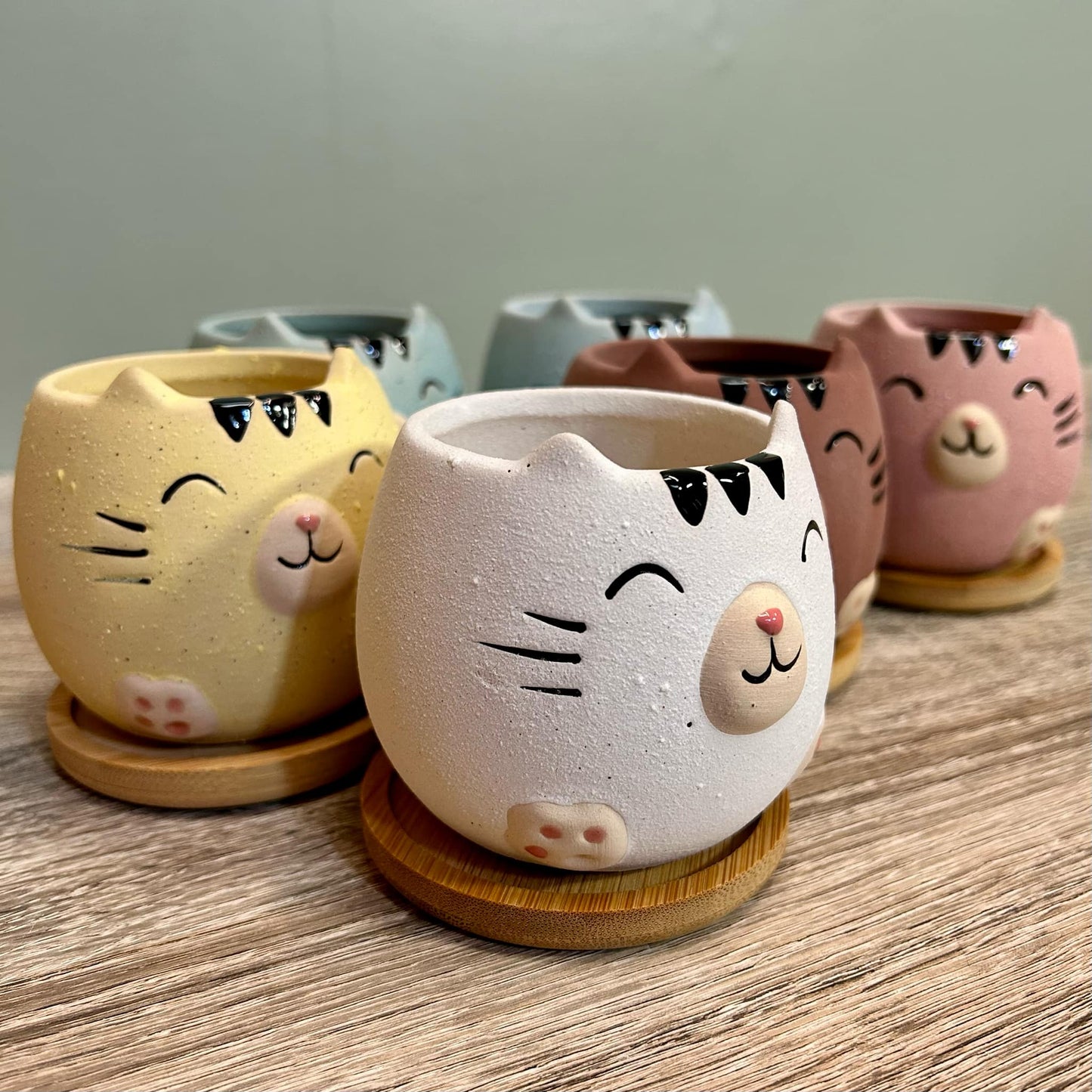 Cute Cat Animal Succulent Plant Pots