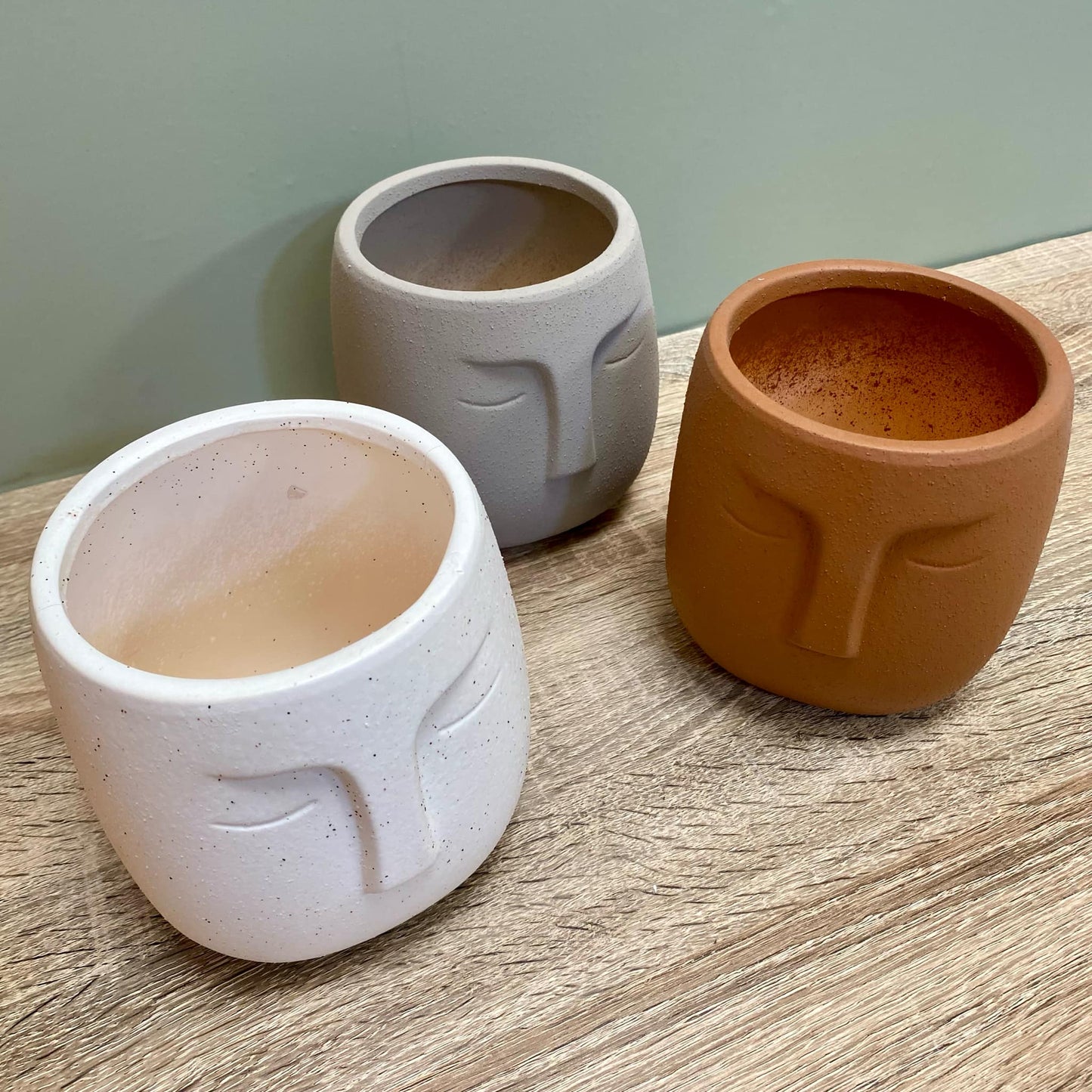 Nordic Human Face Plant Pots