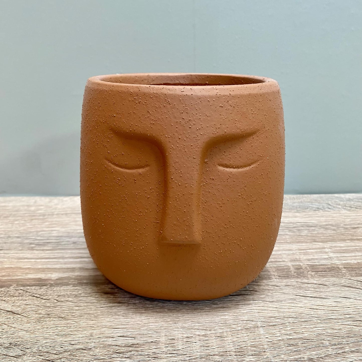 Nordic Human Face Plant Pots