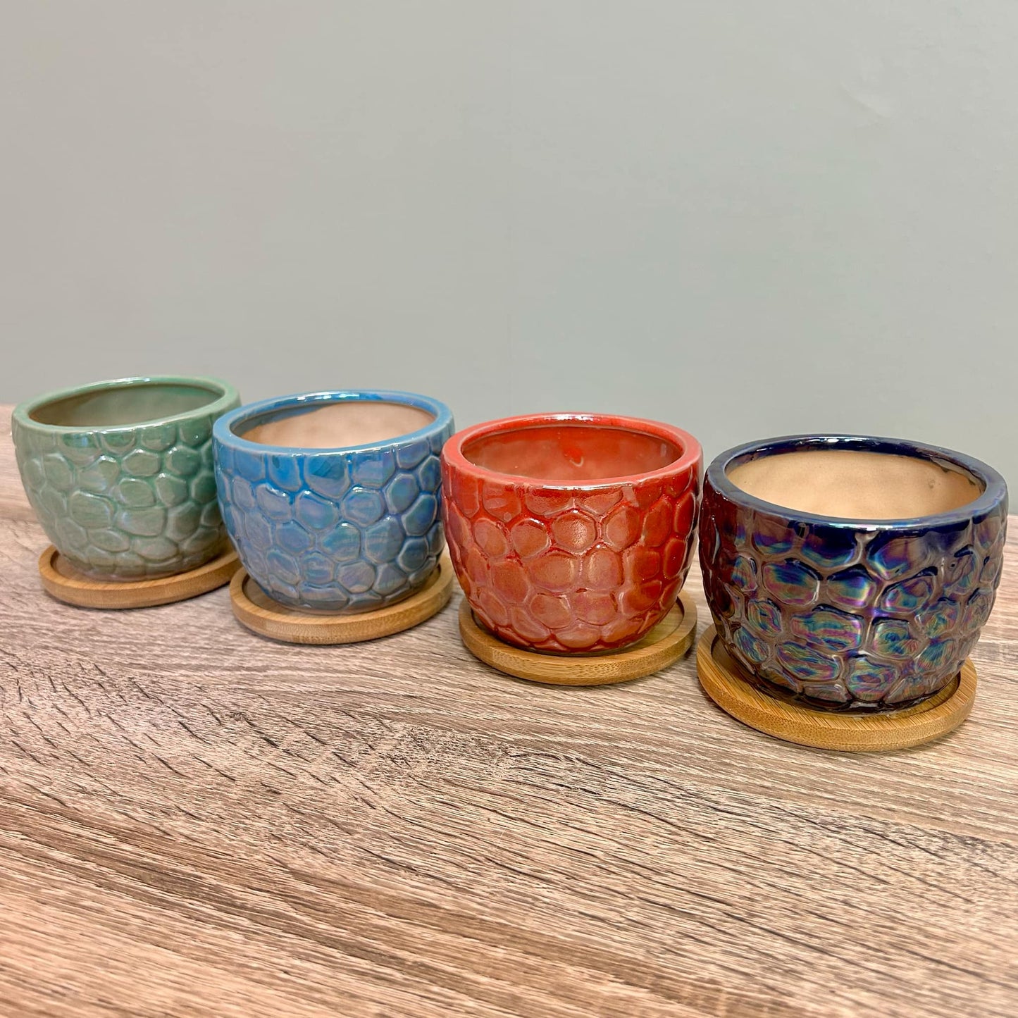 Ceramic Gloss Succulent Planters