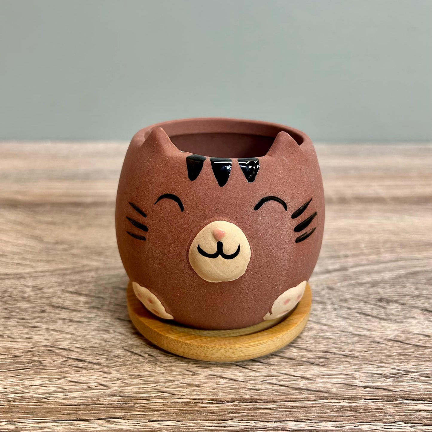 Cute Cat Animal Succulent Plant Pots