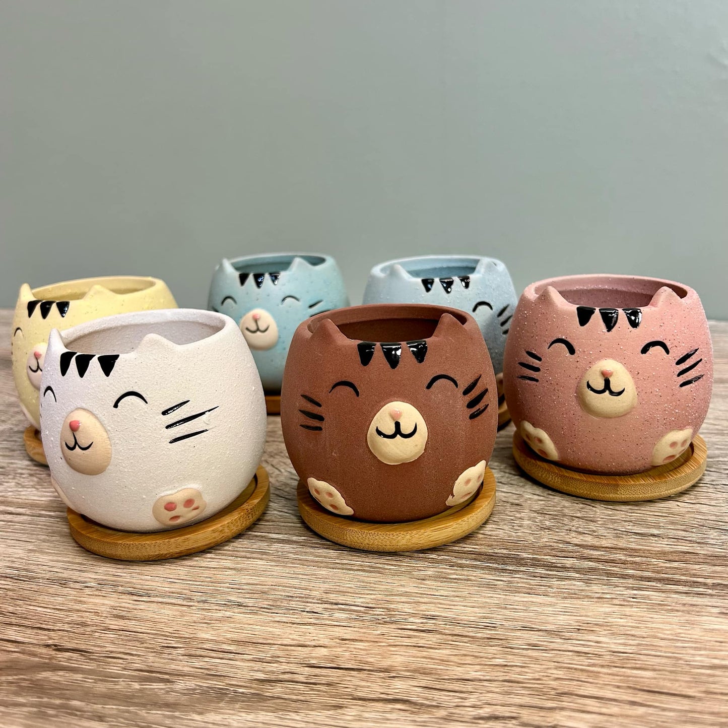 Cute Cat Animal Succulent Plant Pots