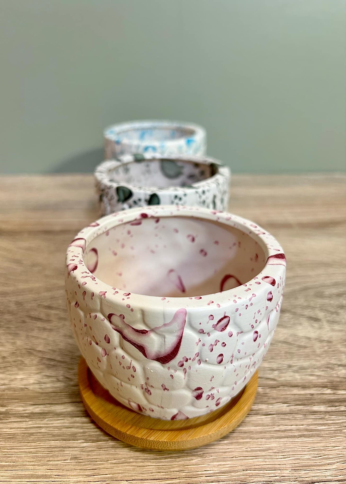 White Paint Splash Effect Succulent Planters