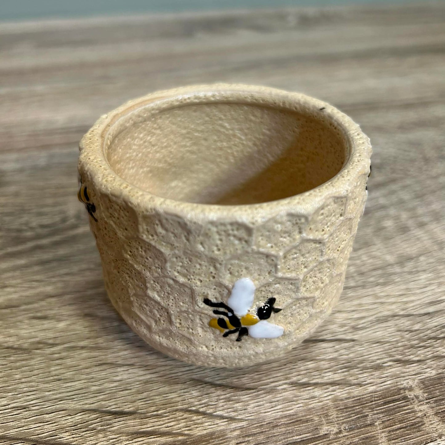 Bumblebee And Honeycomb Plant Pots