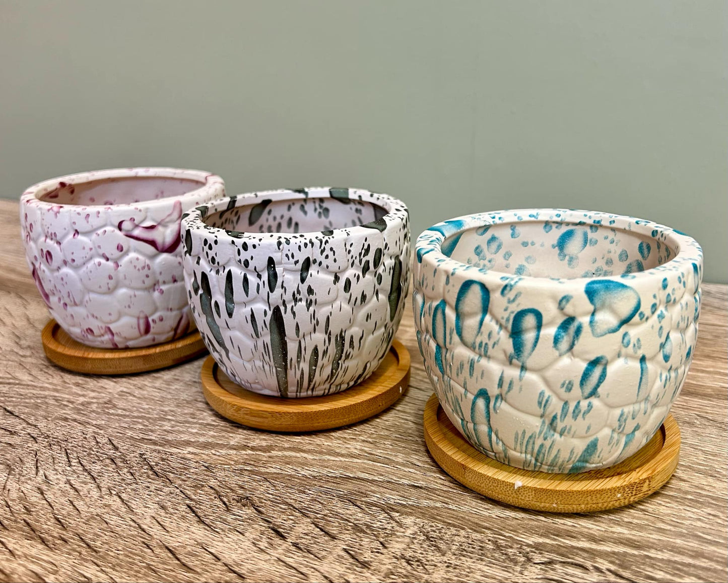 White Paint Splash Effect Succulent Planters