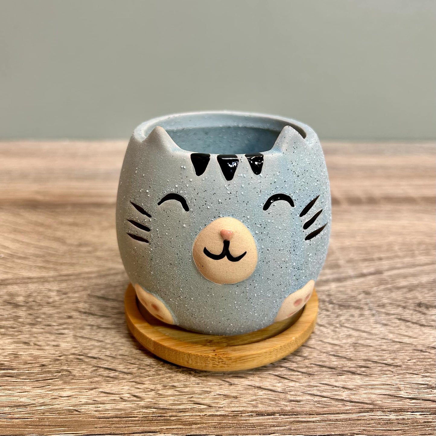 Cute Cat Animal Succulent Plant Pots