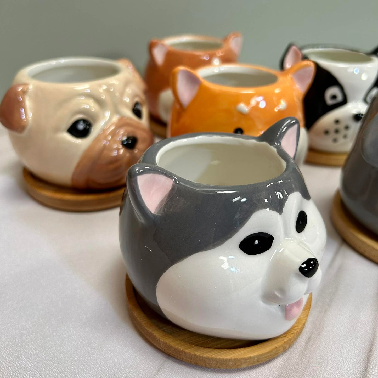 Dog Succulent Plant Pots