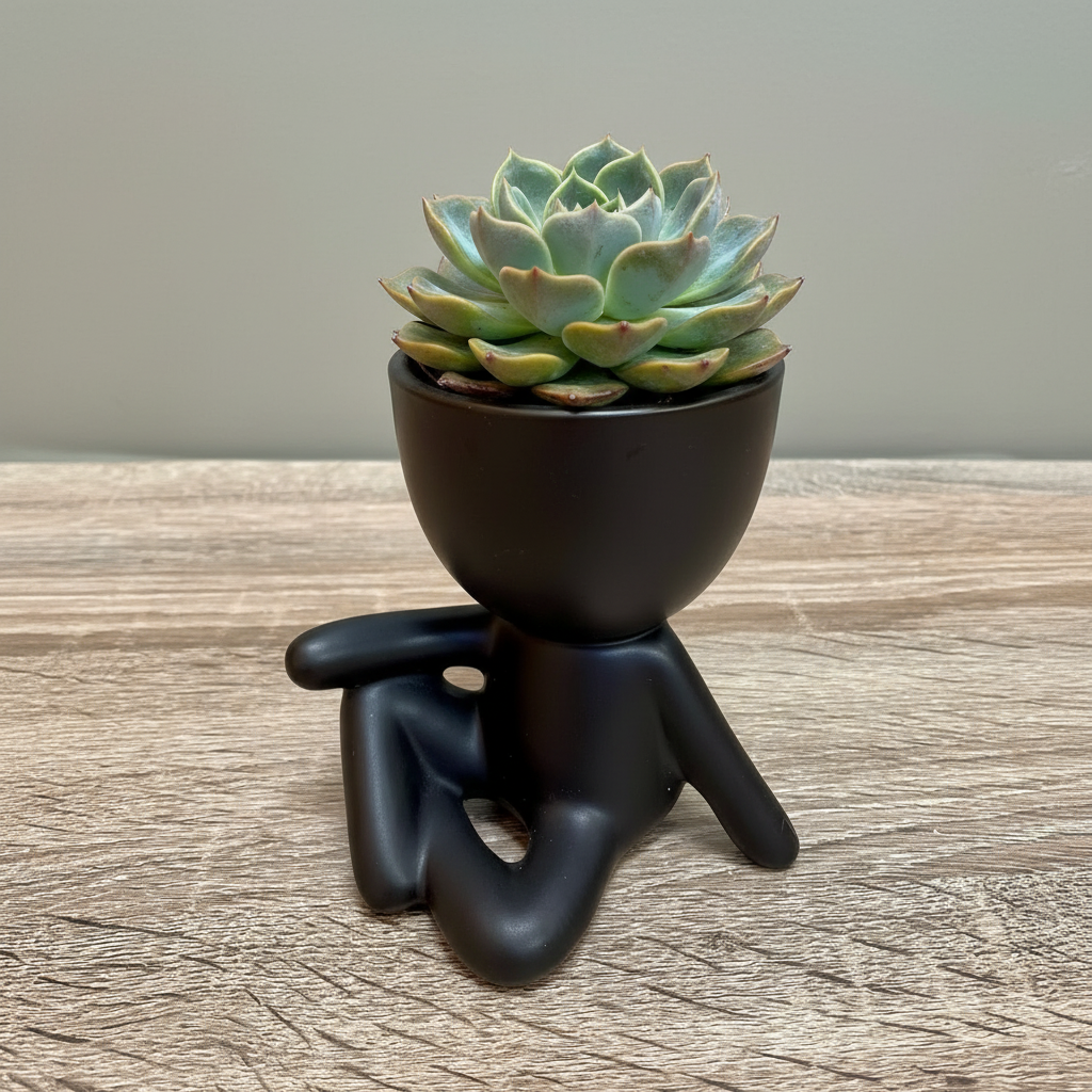 Human Head Planters
