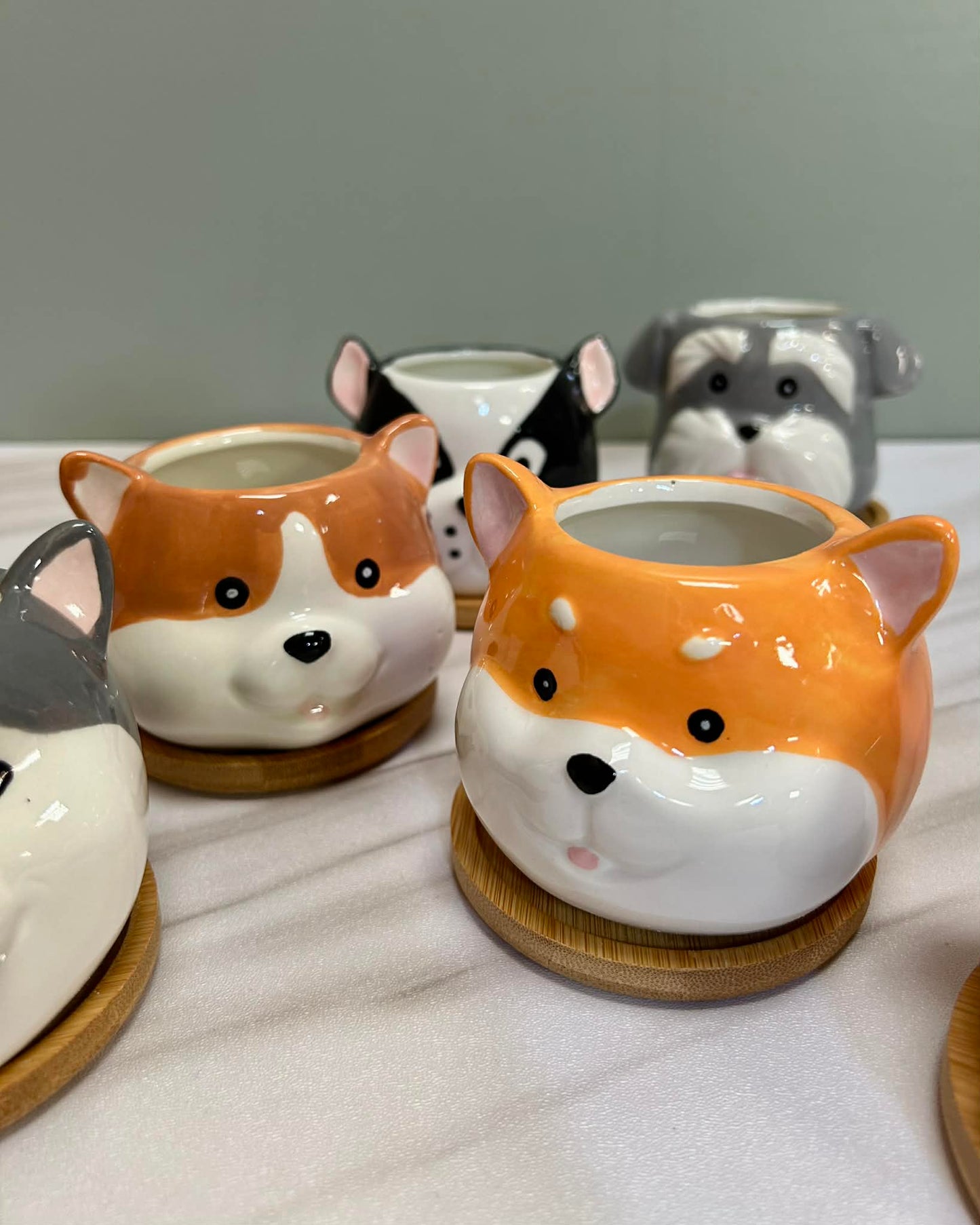 Dog Succulent Plant Pots