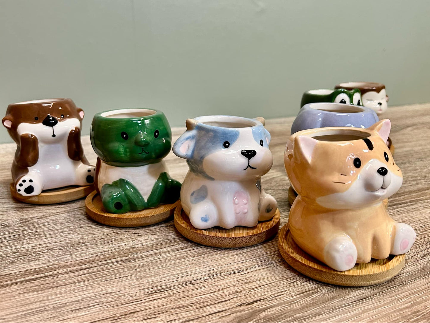 Animal Succulent Plant Pots Variations