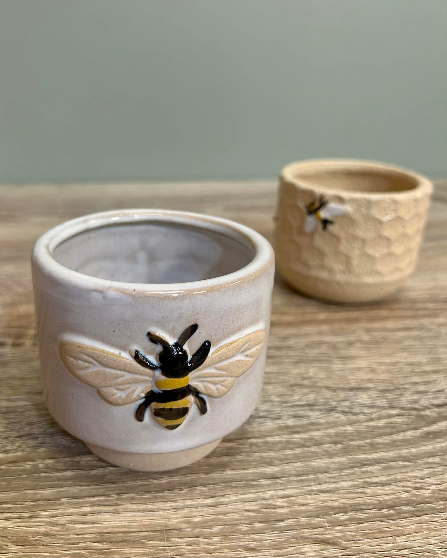 Bumblebee And Honeycomb Plant Pots