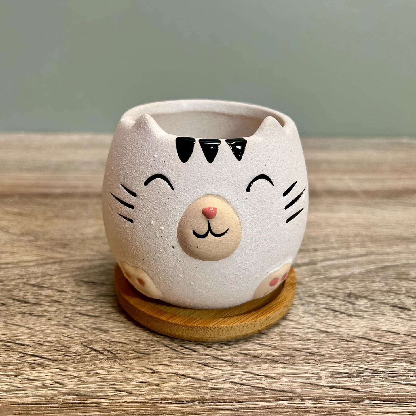 Cute Cat Animal Succulent Plant Pots