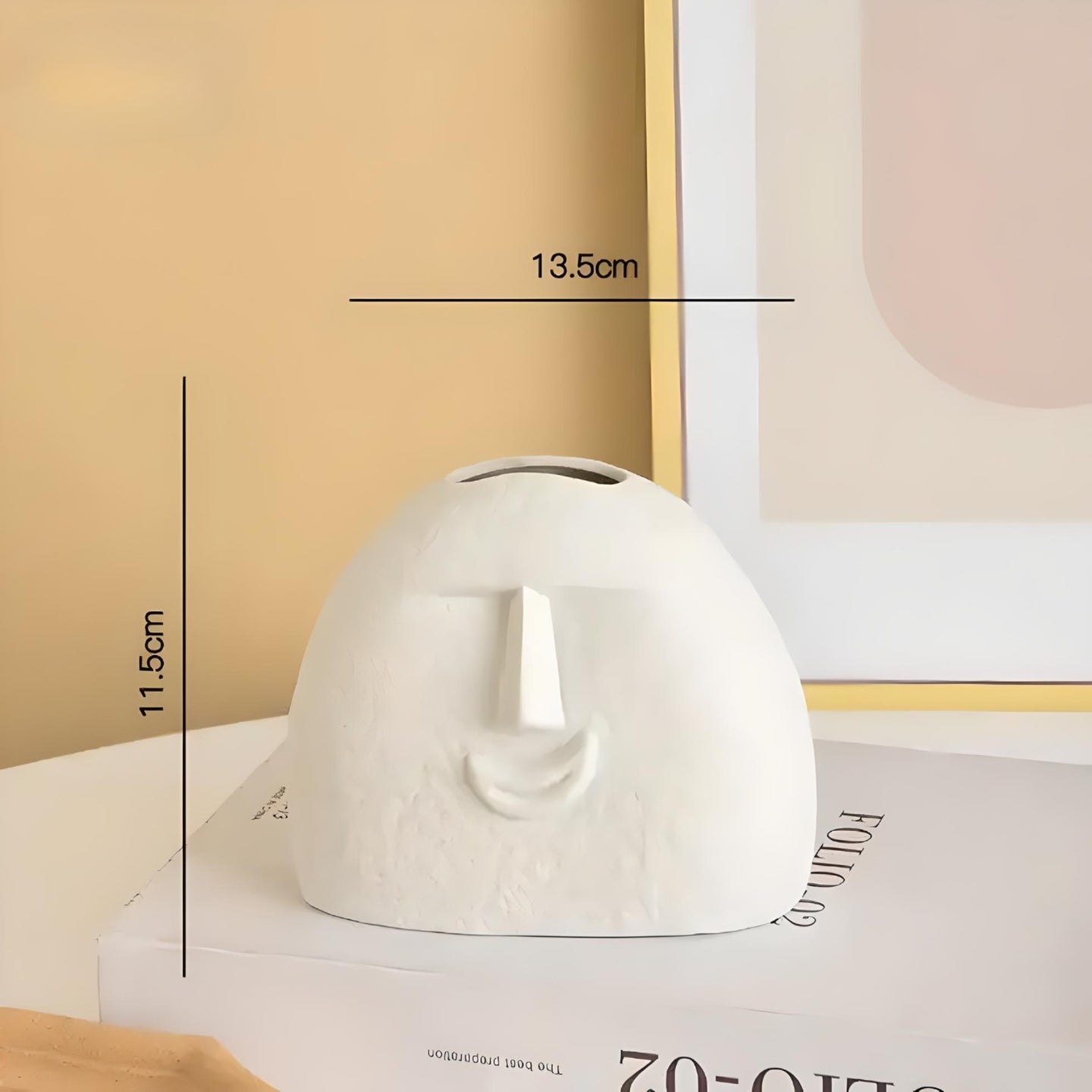 Human Face Abstract Indoor Plant Pots