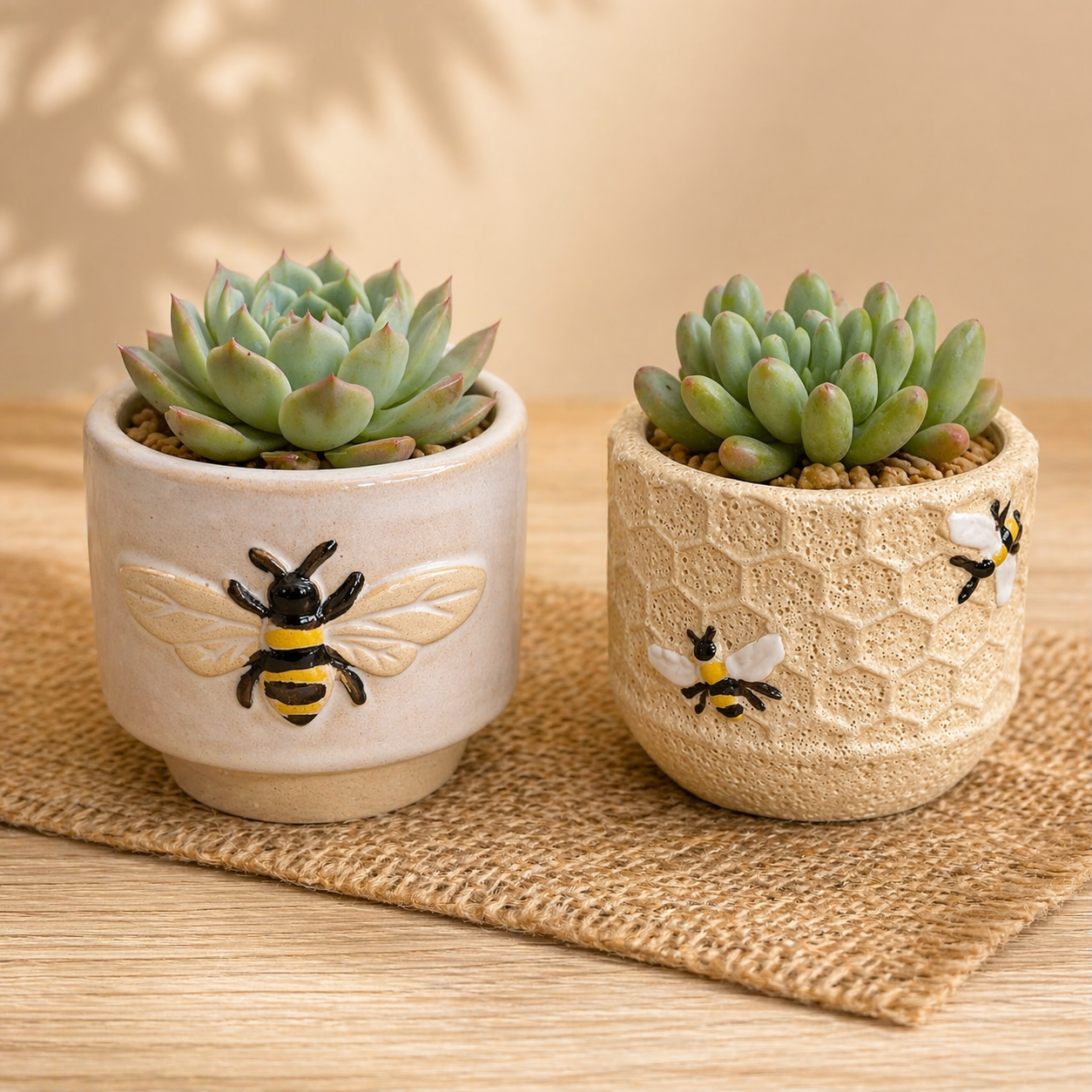 Bumblebee And Honeycomb Plant Pots