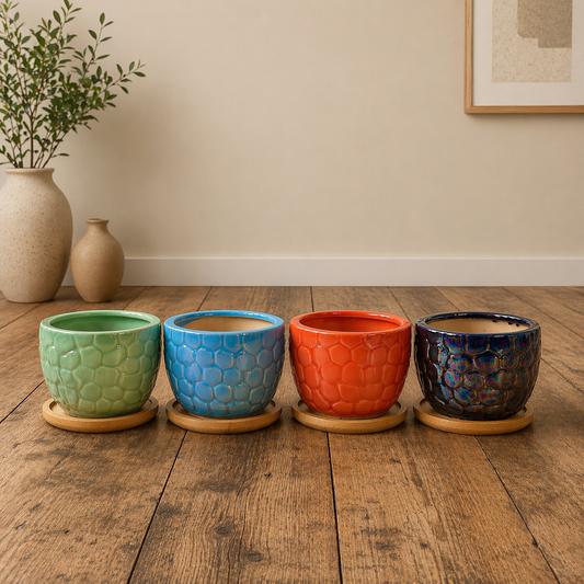 Ceramic Gloss Succulent Planters