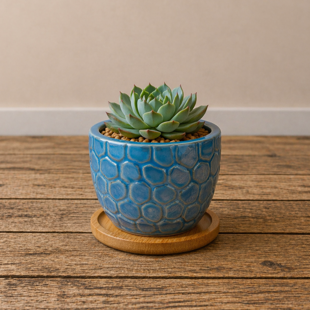 Ceramic Gloss Succulent Planters