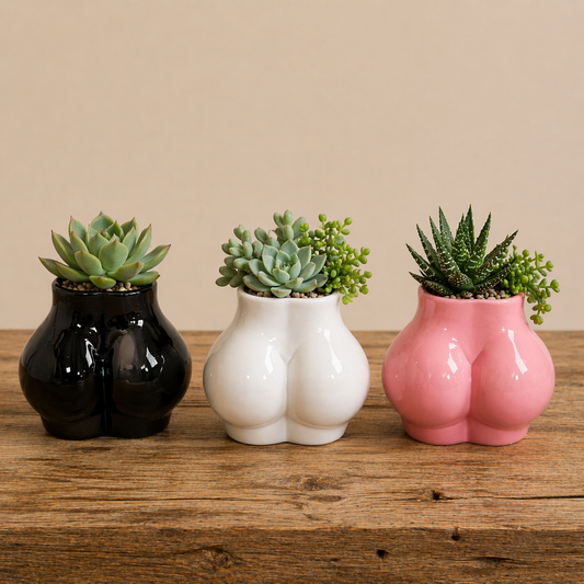 Ceramic Body Art Succulent Planters