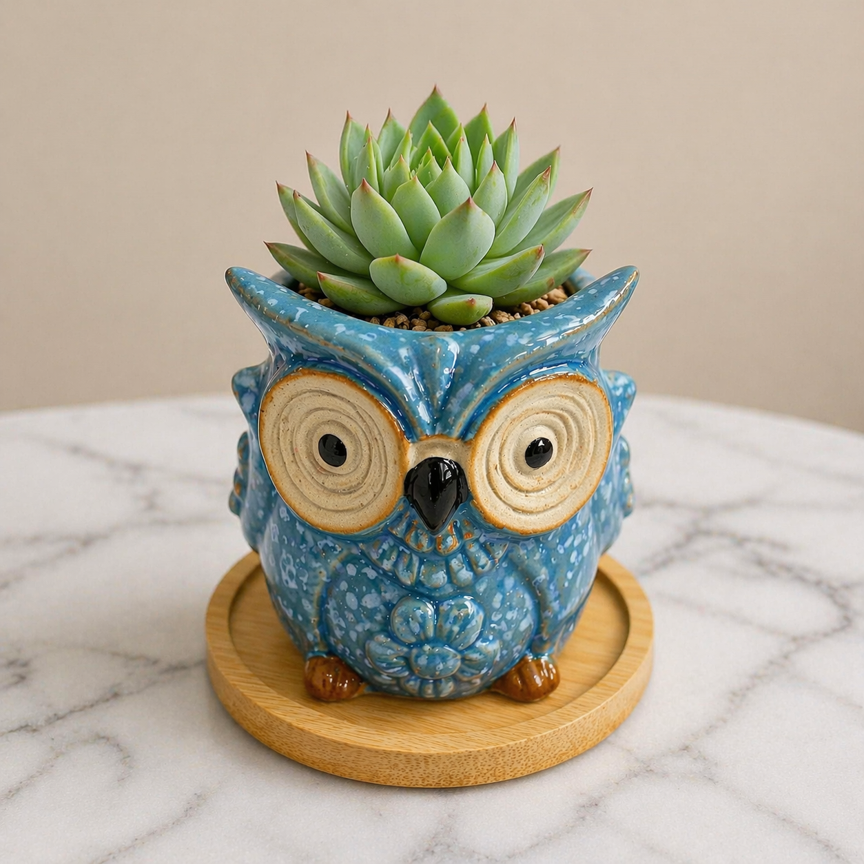 Owl Succulent Plant Pots
