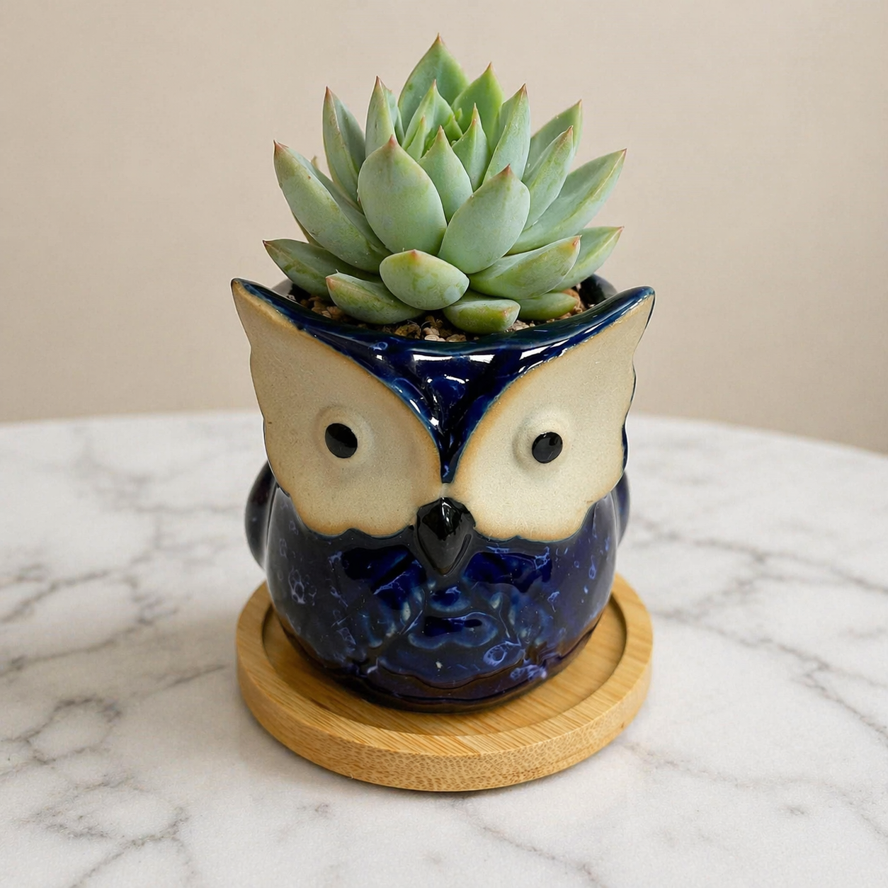 Owl Succulent Plant Pots